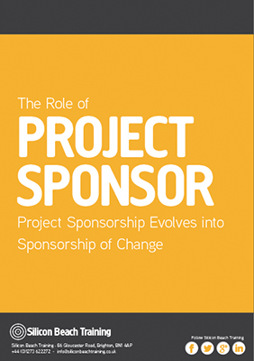 The Role of Project Sponsor